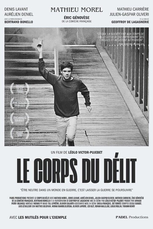 Body of Crime movie poster