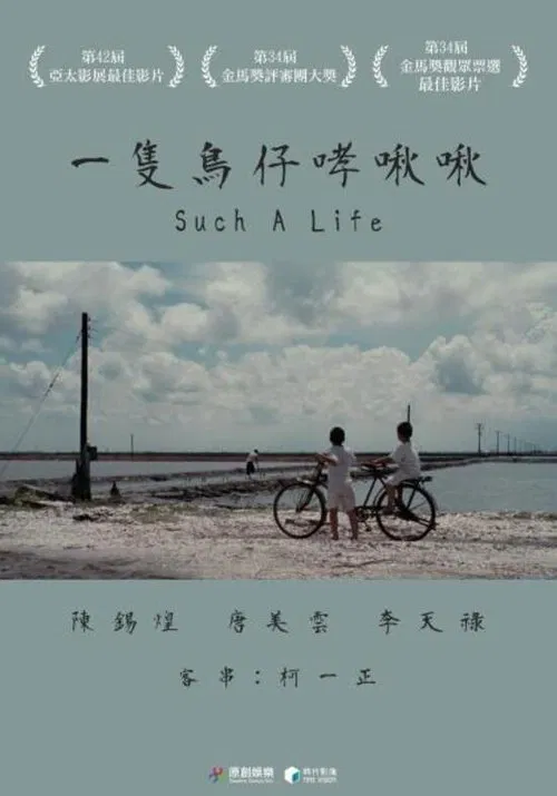 Such a life movie poster