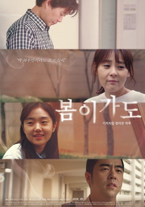 After Spring movie poster