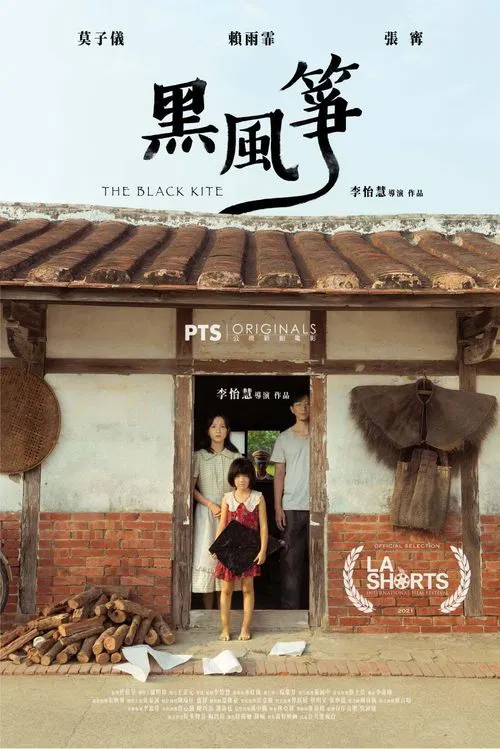 The Black Kite movie poster