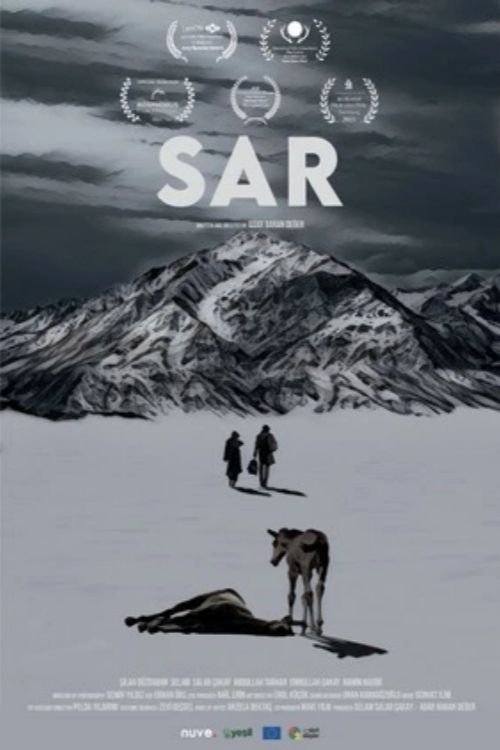 Poster do filme Soğuk