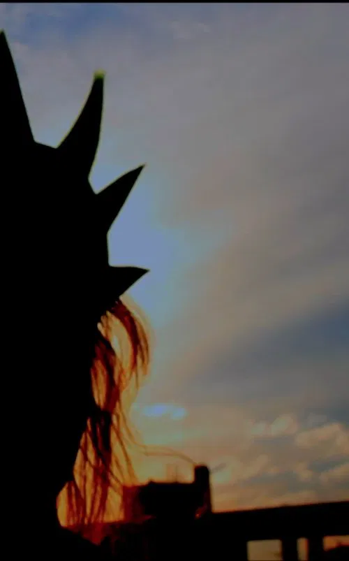 Liberté movie poster