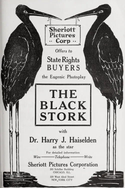 The Black Stork movie poster