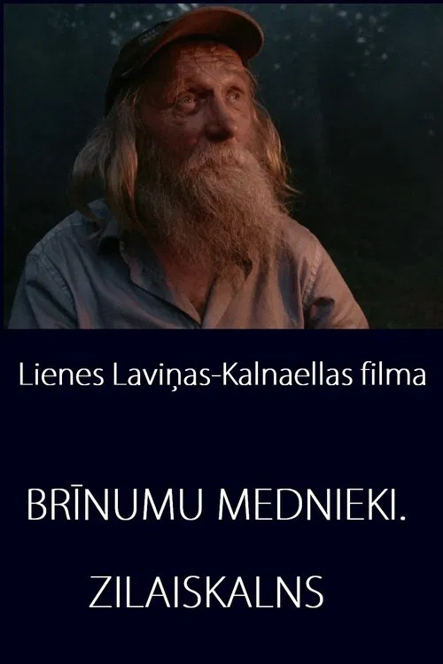 Miracle Hunters: Zilaiskalns movie poster