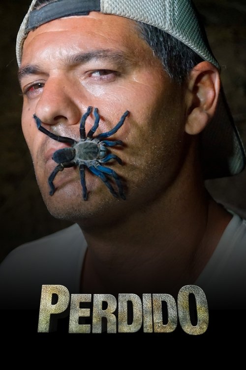 Poster da série Perdido