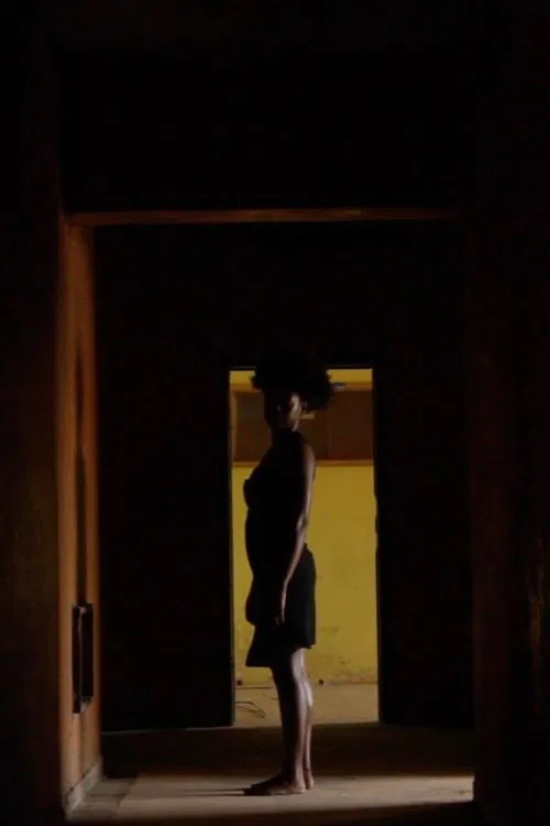 There Is No Light Inside the Mirror movie poster