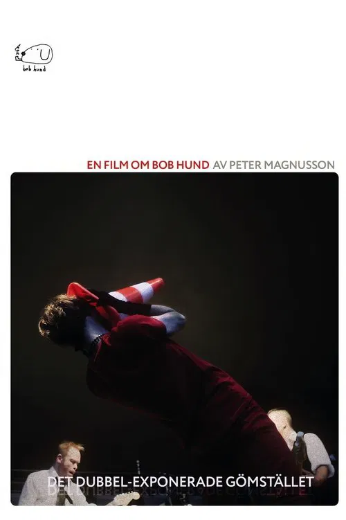 Det Dubbel-exponerade gömstället movie poster