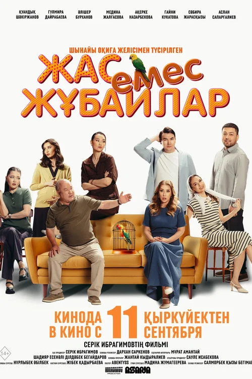 Not A Young Couple movie poster