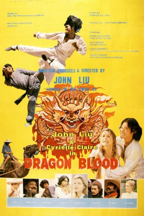 Poster do filme Dragon Blood