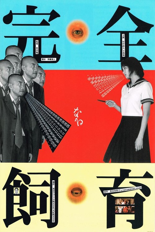 The Perfect Education movie poster