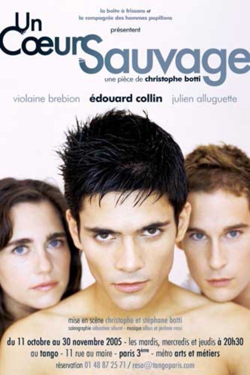 Poster do filme A Wild Heart
