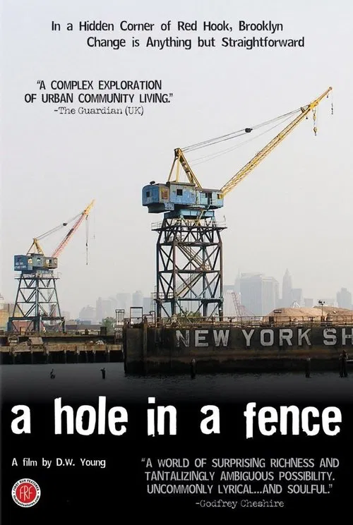 A Hole in a Fence movie poster