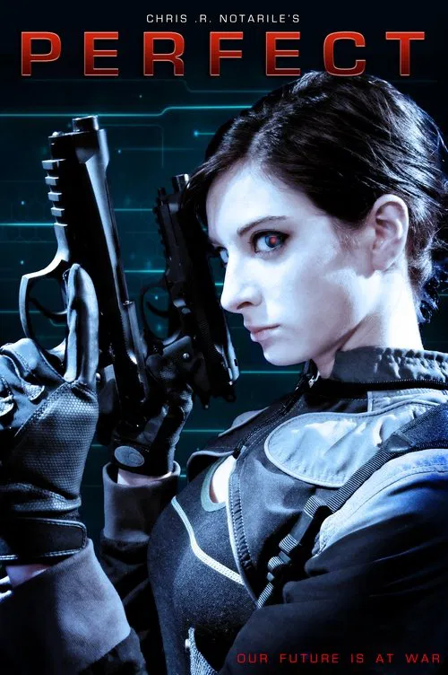 Perfect movie poster