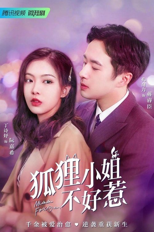 Miss Fox tv show poster