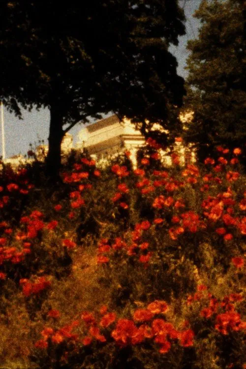 The Road to Kalmar movie poster