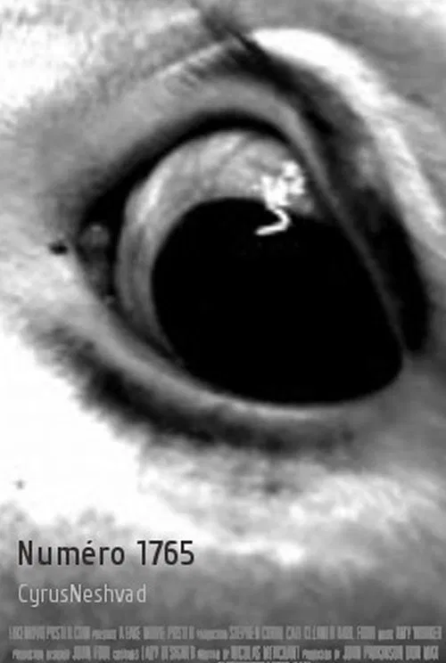 Numéro 1765 movie poster