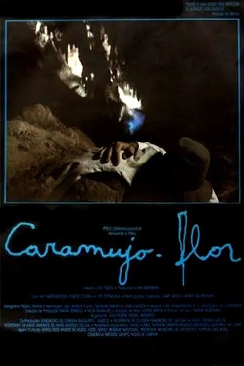 Poster do filme Caramujo-Flor