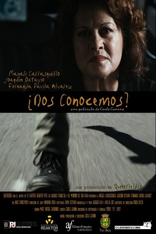 ¿Nos conocemos? movie poster