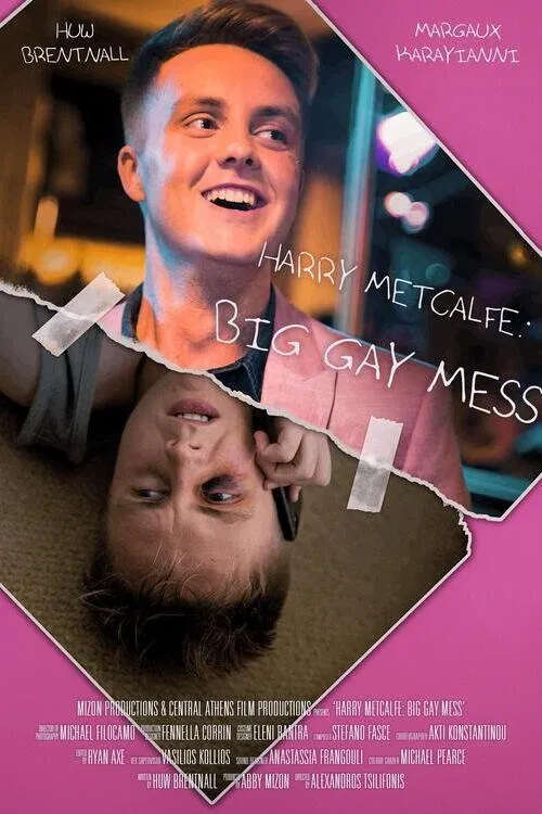 Poster do filme Harry Metcalfe: Big Gay Mess