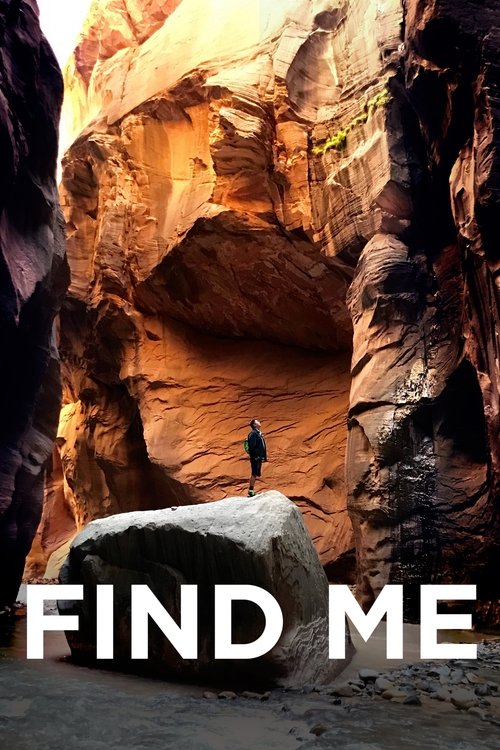 Find Me movie poster