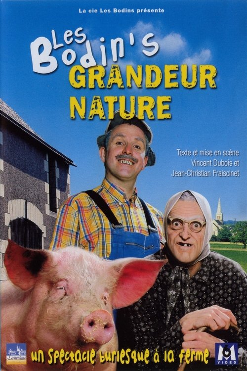 Les Bodin's - Grandeur Nature movie poster