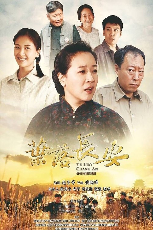 叶落长安 tv show poster