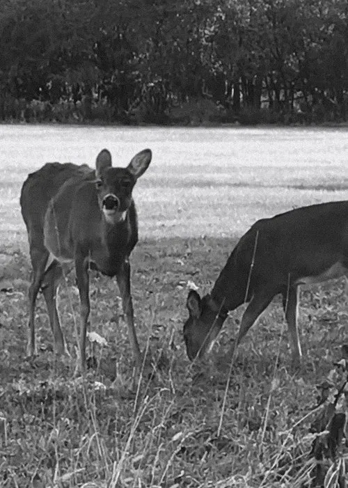 An Ode To No One movie poster