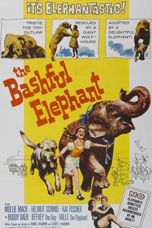 The Bashful Elephant movie poster