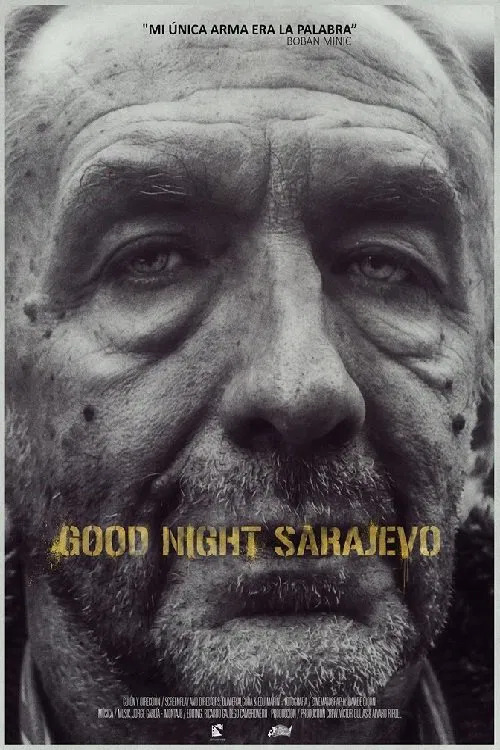 Good Night Sarajevo movie poster