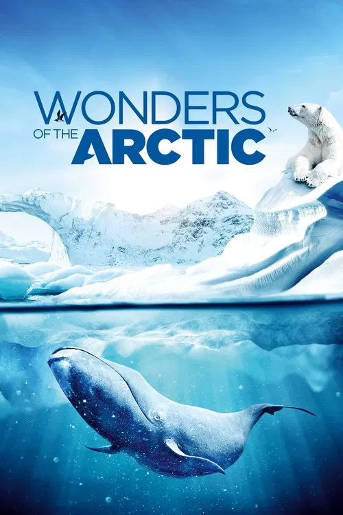 Wonders of the Arctic movie poster
