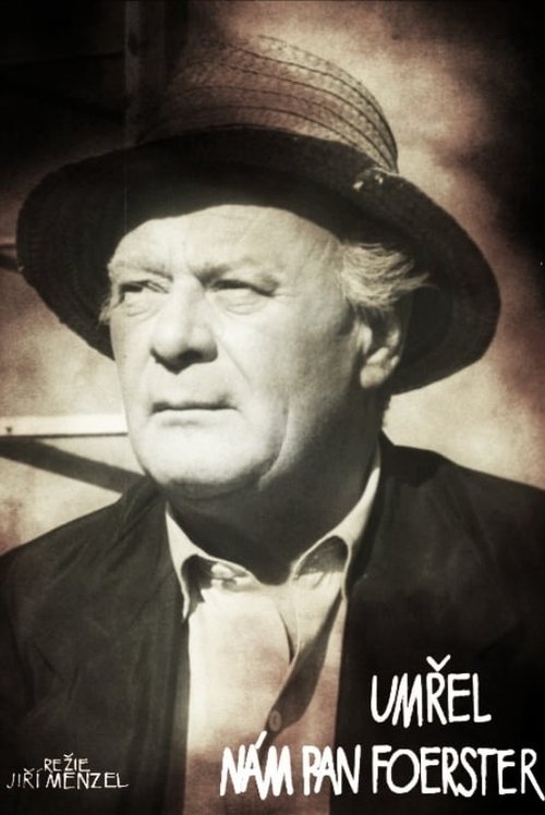 Poster do filme Our Mr. Foerster Died
