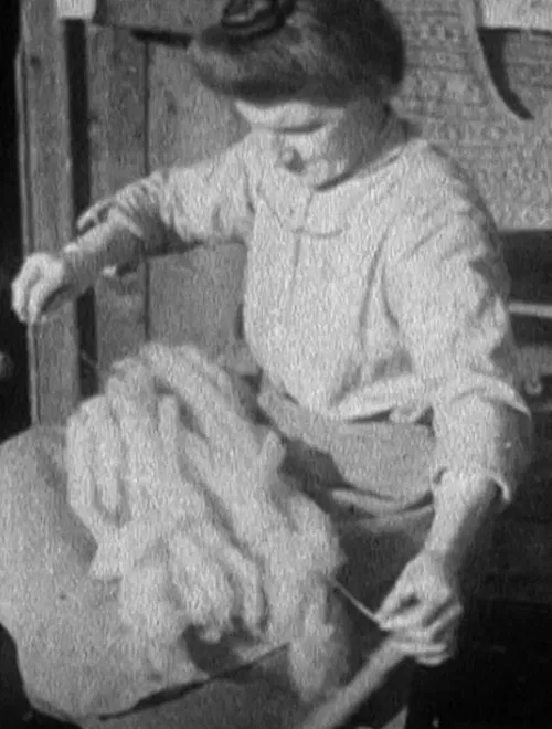 In Sheep’s Clothing movie poster