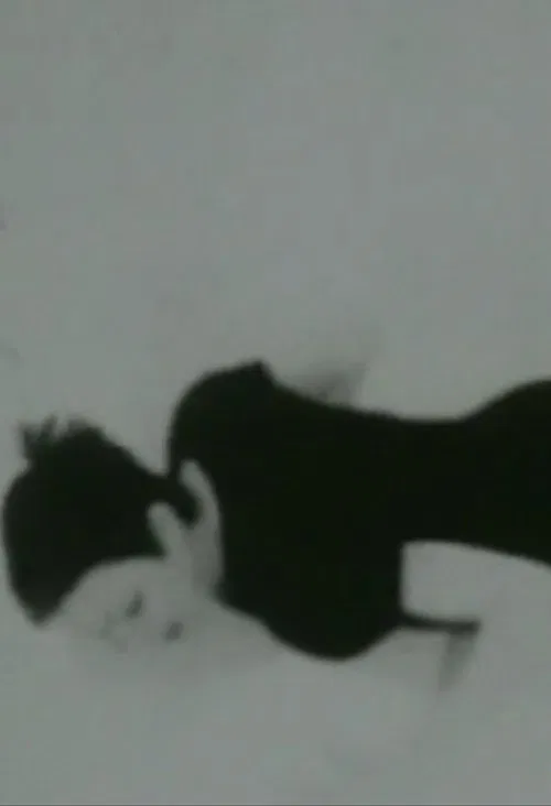 Cornered movie poster