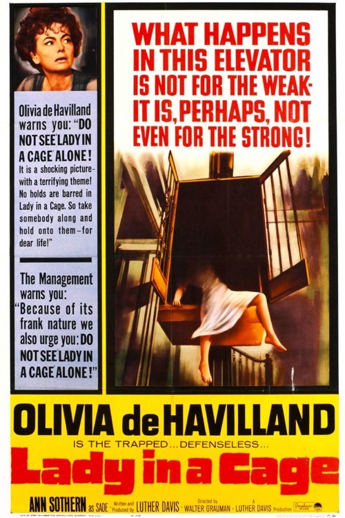 Lady in a Cage movie poster