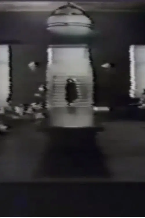 Also Salo movie poster