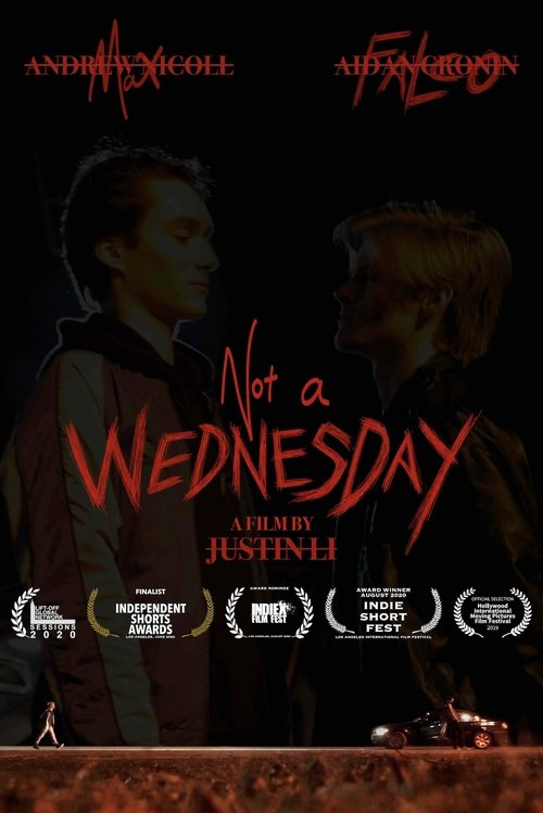Not a Wednesday movie poster