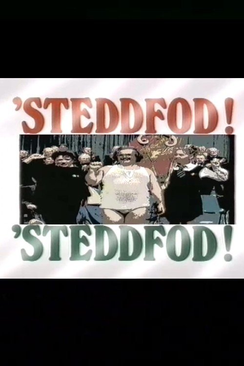 Steddfod! Steddfod! movie poster