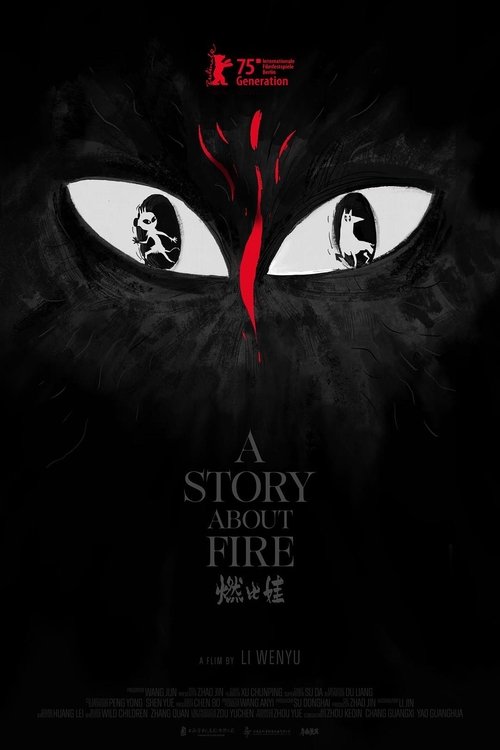 A Story About Fire movie poster