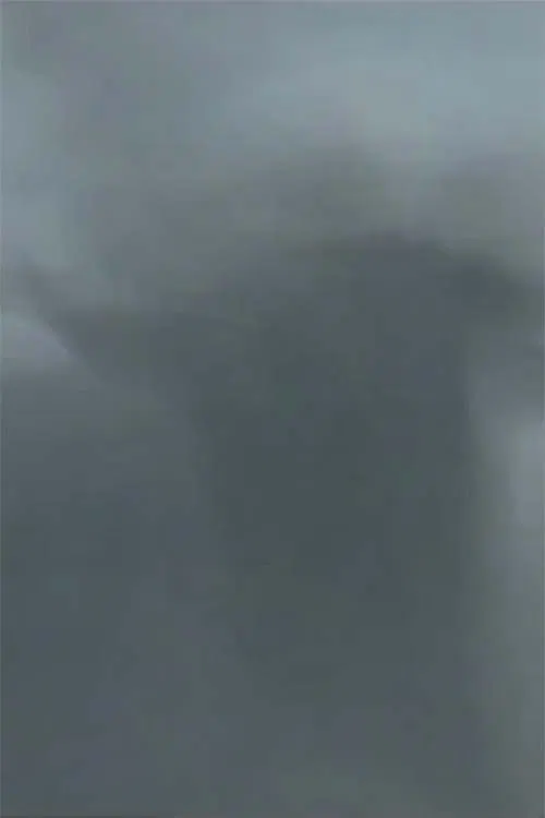 Chamamento movie poster