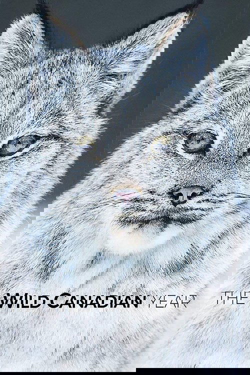 The Wild Canadian Year tv show poster