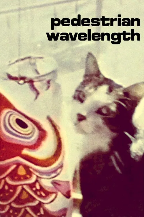Poster do filme Pedestrian Wavelength
