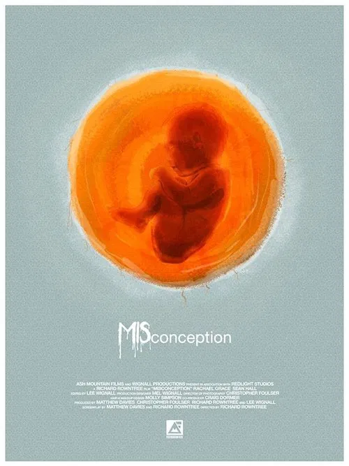 Misconception movie poster