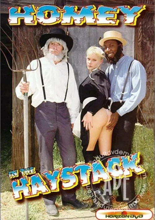 Poster do filme Homey In The Haystack