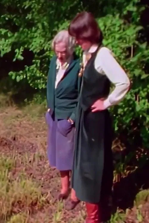 Remembering Jung movie poster