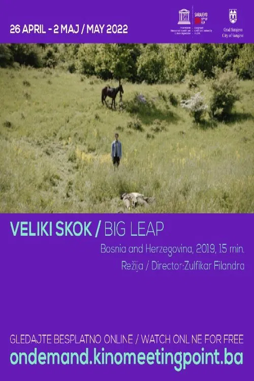 Big Leap movie poster