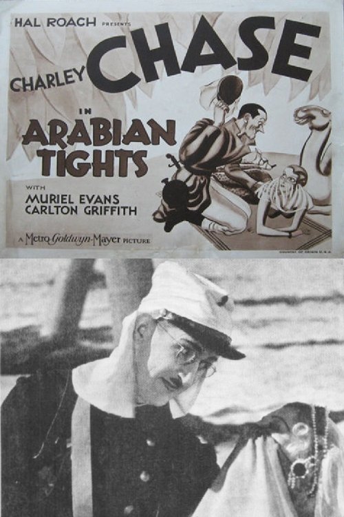 Arabian Tights movie poster