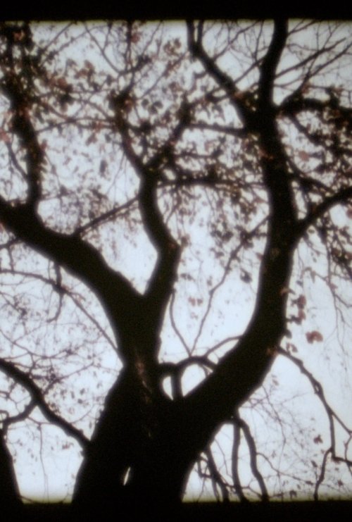 Poster do filme We Deh Here