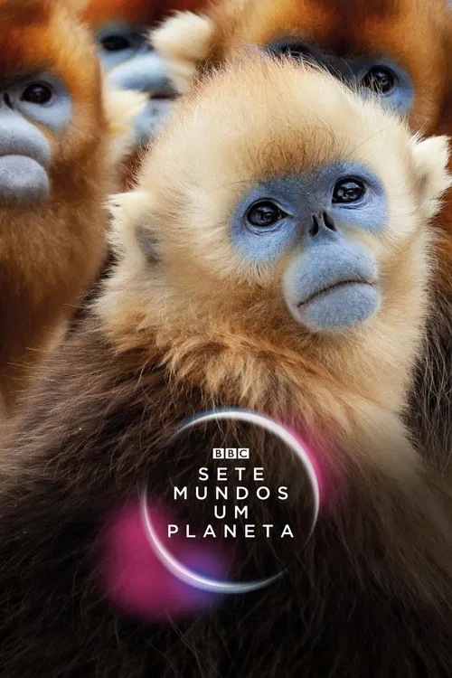 Poster da série Sete Mundos, Um Planeta