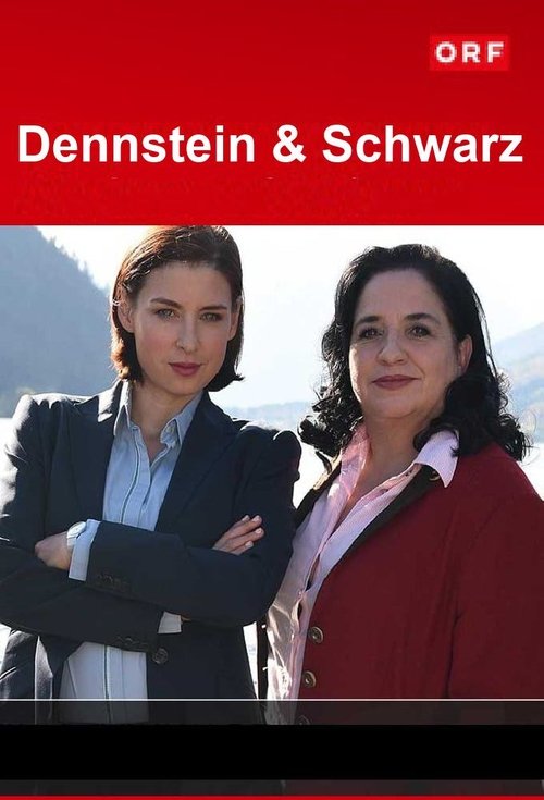 Dennstein & Schwarz tv show poster