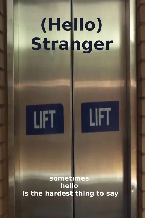 (Hello) Stranger movie poster